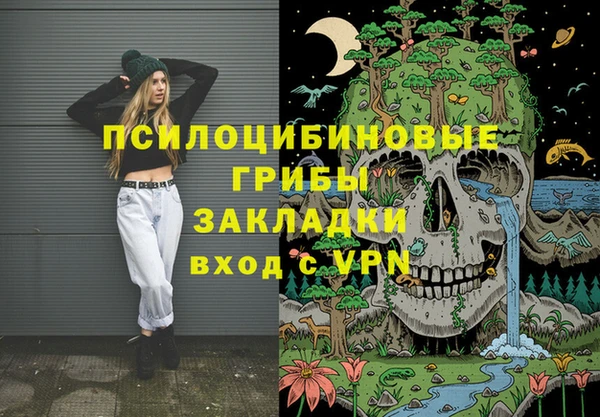 гашик Новокубанск