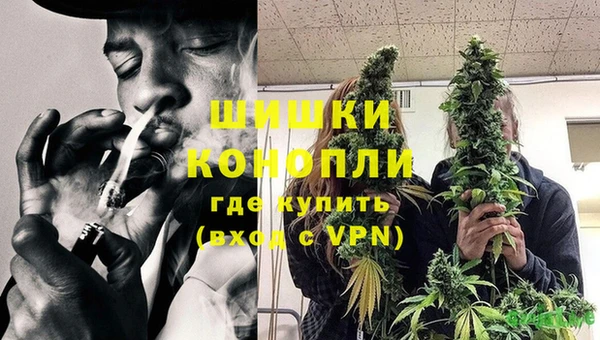 гашик Новокубанск